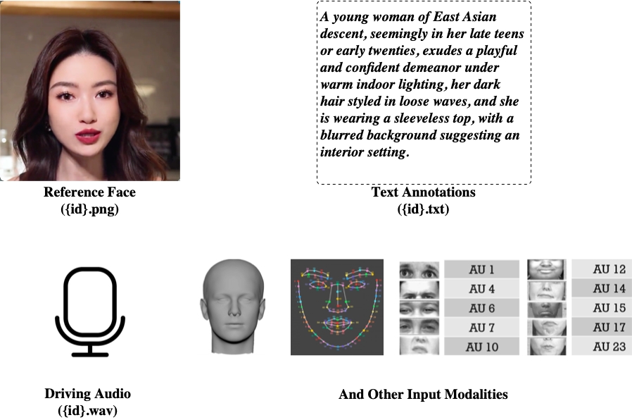 Overview of the DH-FaceVid-1K dataset